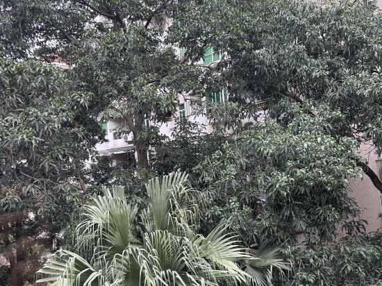 錦江之星風尚（中山石岐大信新都滙店）優惠