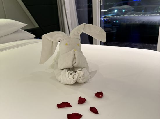 阿布扎比W酒店優惠