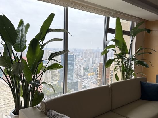 石家莊諾華廷飯店優惠