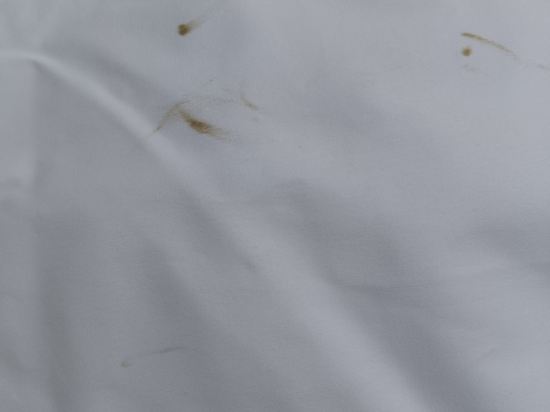 維也納國際酒店（肇慶中心湖景店）優惠