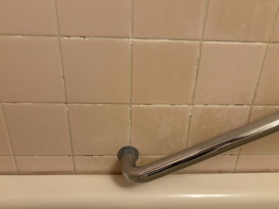 スマイルホテル那覇シティリゾート クーポン