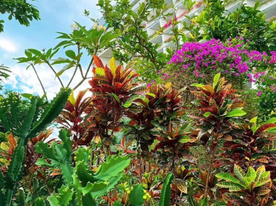 三亞康年酒店優惠