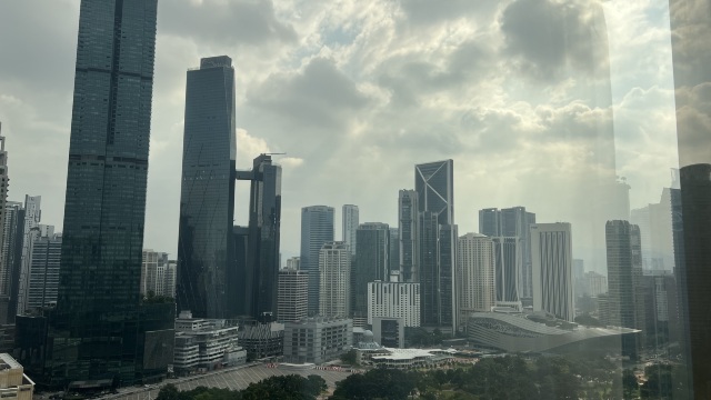 review picture