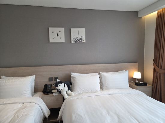 강릉씨티호텔 쿠폰