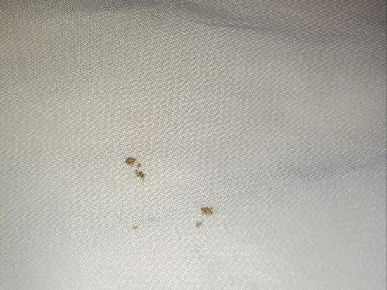 北舊金山機場舒適套房酒店優惠