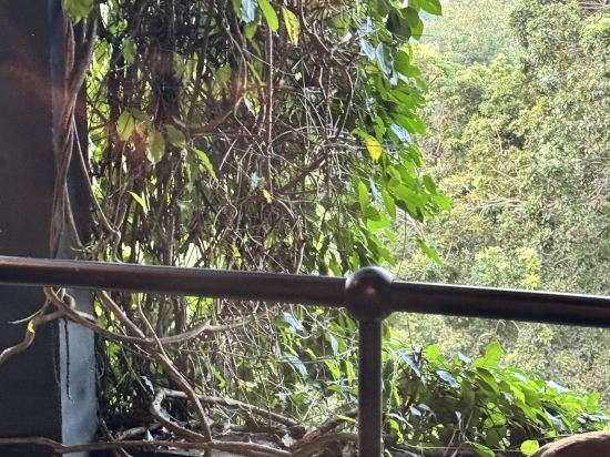 坎達拉馬遺產飯店優惠