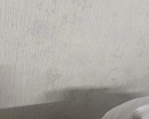 G8 Le Van Sy Hotel Saigon Photos