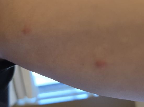 多倫多萬錦麗柏酒店優惠