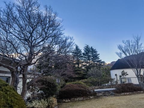 兵衛向陽閣 クーポン