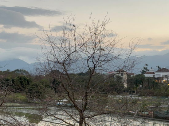 宜蘭綠也渡假莊園優惠