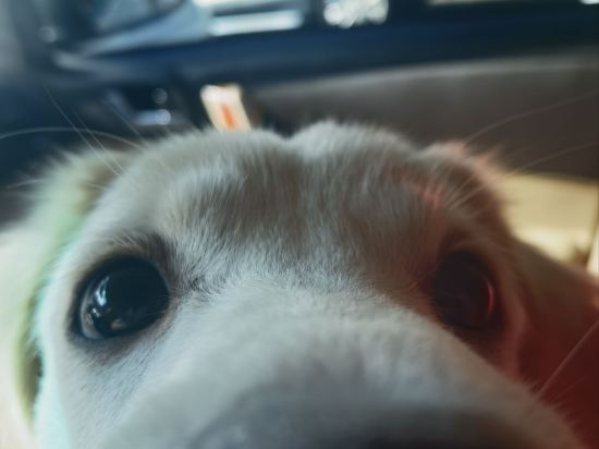 維也納酒店（句容茅山風景區朝陽路店）優惠