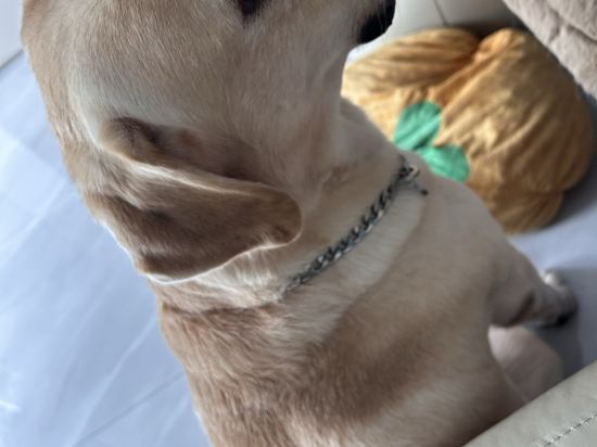 全季飯店（北京亞運村鳥巢店）優惠