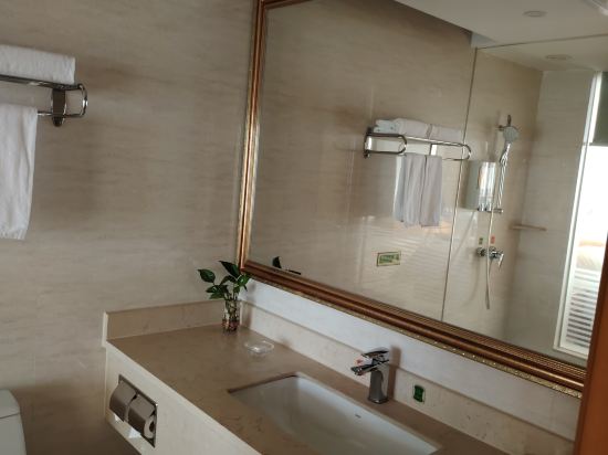 維也納國際飯店（中山火炬中心店）優惠