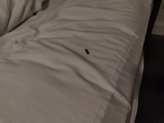 布里斯裡精品飯店優惠