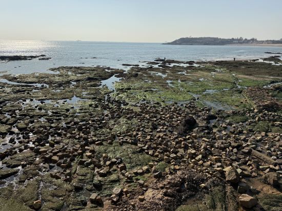 青島海天大酒店優惠