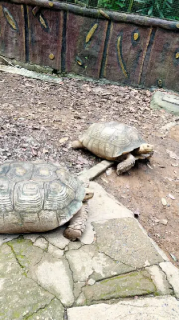 RedDoorz Plus @ Lagoon Resort Zambales Photos