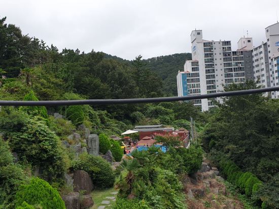 홈포레스트 리조트 쿠폰