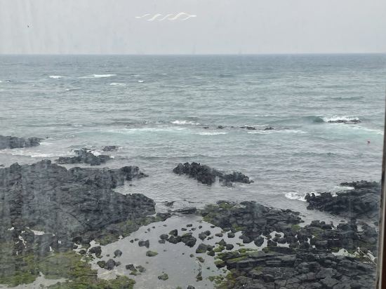 Jeju Gogo Aewol Guesthouse 쿠폰