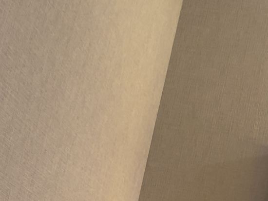 延岡第一ホテル クーポン