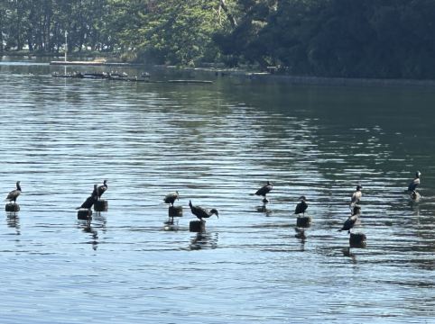 天橋立ホテル クーポン