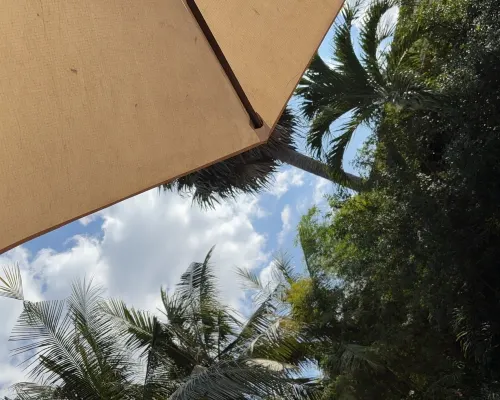 Pavillon Indochine Boutique - Hotel Photos