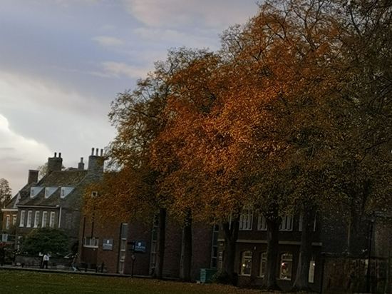 克萊頓劍橋酒店優惠