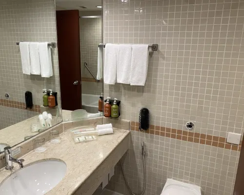 Holiday Inn SINGAPORE ATRIUM by IHG Rooms Photos