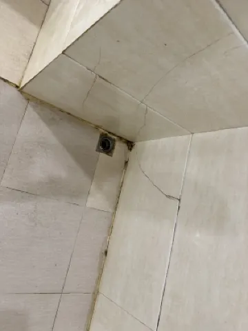 Lion Island Holiday Hotel (Shuangyuewan) Zimmer Photos