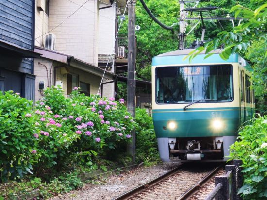 相鉄フレッサイン鎌倉大船駅東口 クーポン