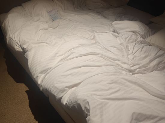 ザ ノット 札幌 クーポン