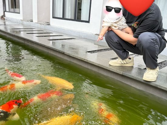 雲水謠錦繡雲夕民宿優惠