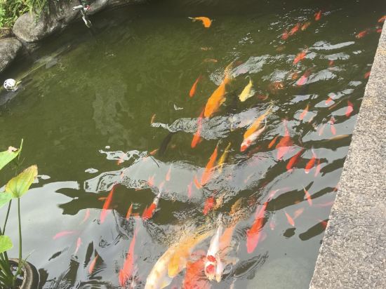 德景山莊（陽朔灕江店）優惠