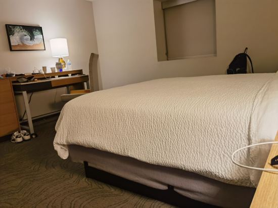 洛杉磯 - 洛杉磯國際機場假日酒店優惠