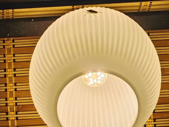 寬心閣民宿優惠