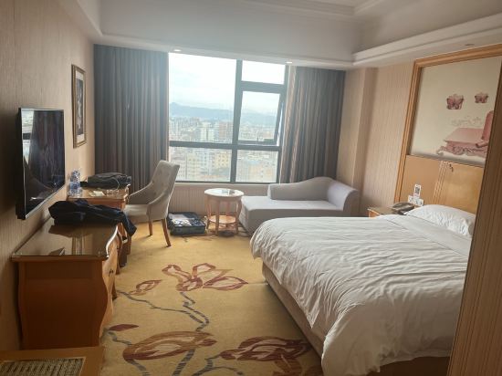 維也納國際飯店（惠州新圩政府廣場店）優惠