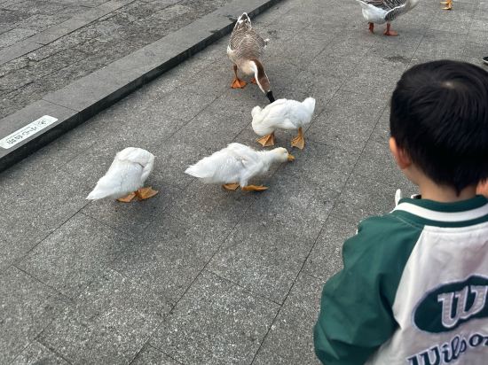 陽朔悦榕莊優惠