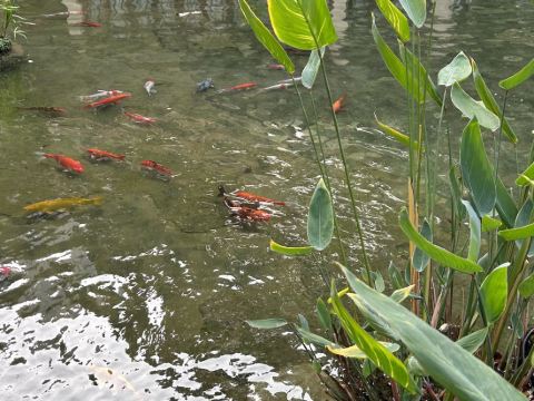 廣州花園酒店優惠