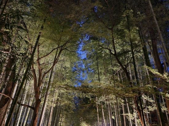 ホテルサンバレー伊豆長岡 別館　悠々館 クーポン