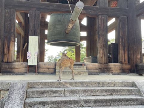 ホテル日航奈良 クーポン