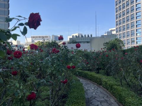 ホテル ニューオータニ ガーデンタワー クーポン