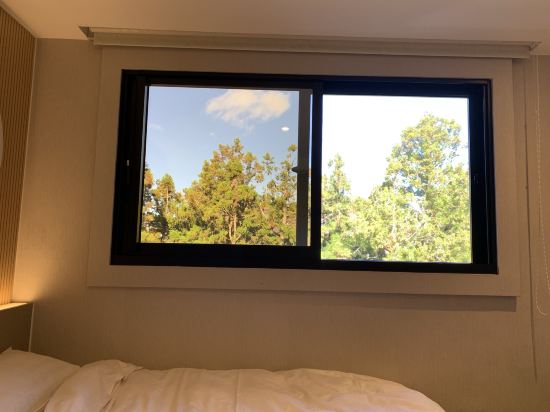 嘉義阿里山神木賓館優惠