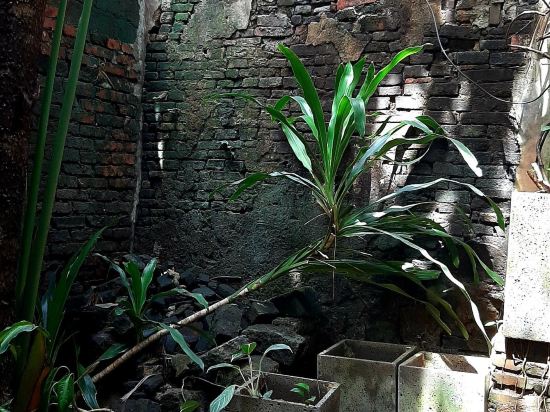 海口騎樓還客1921精品民宿優惠