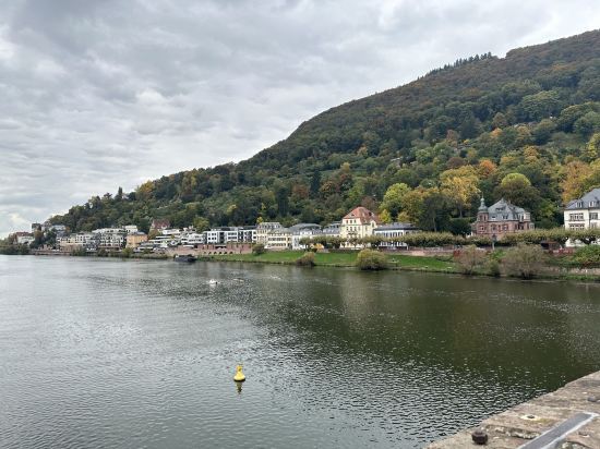 凱瑟霍夫城中心美居酒店優惠