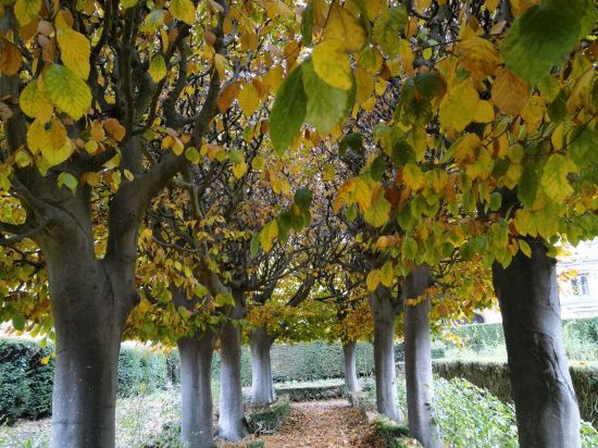 皇家牛津酒店優惠
