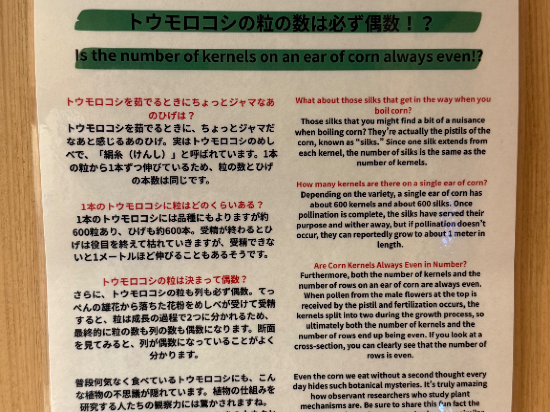 The STAY SAPPORO クーポン