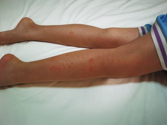 寓居服務公寓（北京燕莎大使館店）優惠