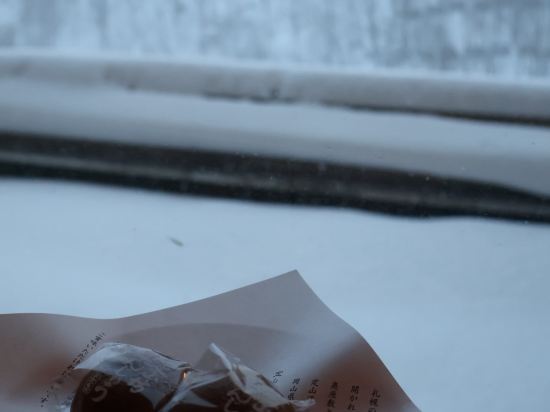 定山渓万世閣 ホテルミリオーネ クーポン