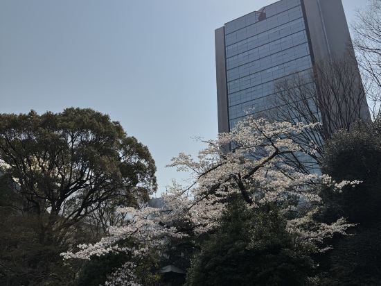 ウェスティンホテル東京 クーポン