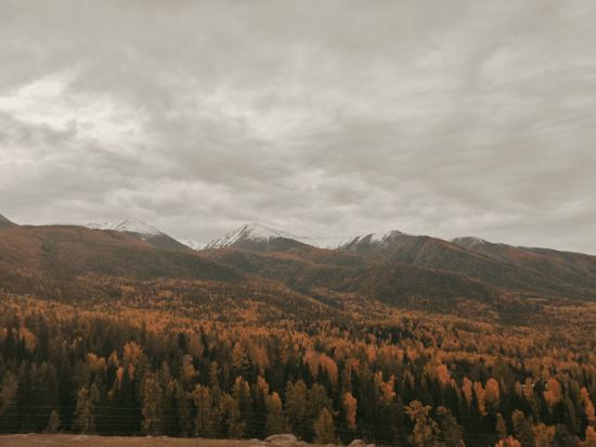 烏魯木齊海華酒店優惠