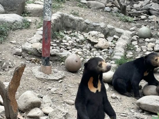 上海虹橋高鐵瑞衡美居酒店優惠